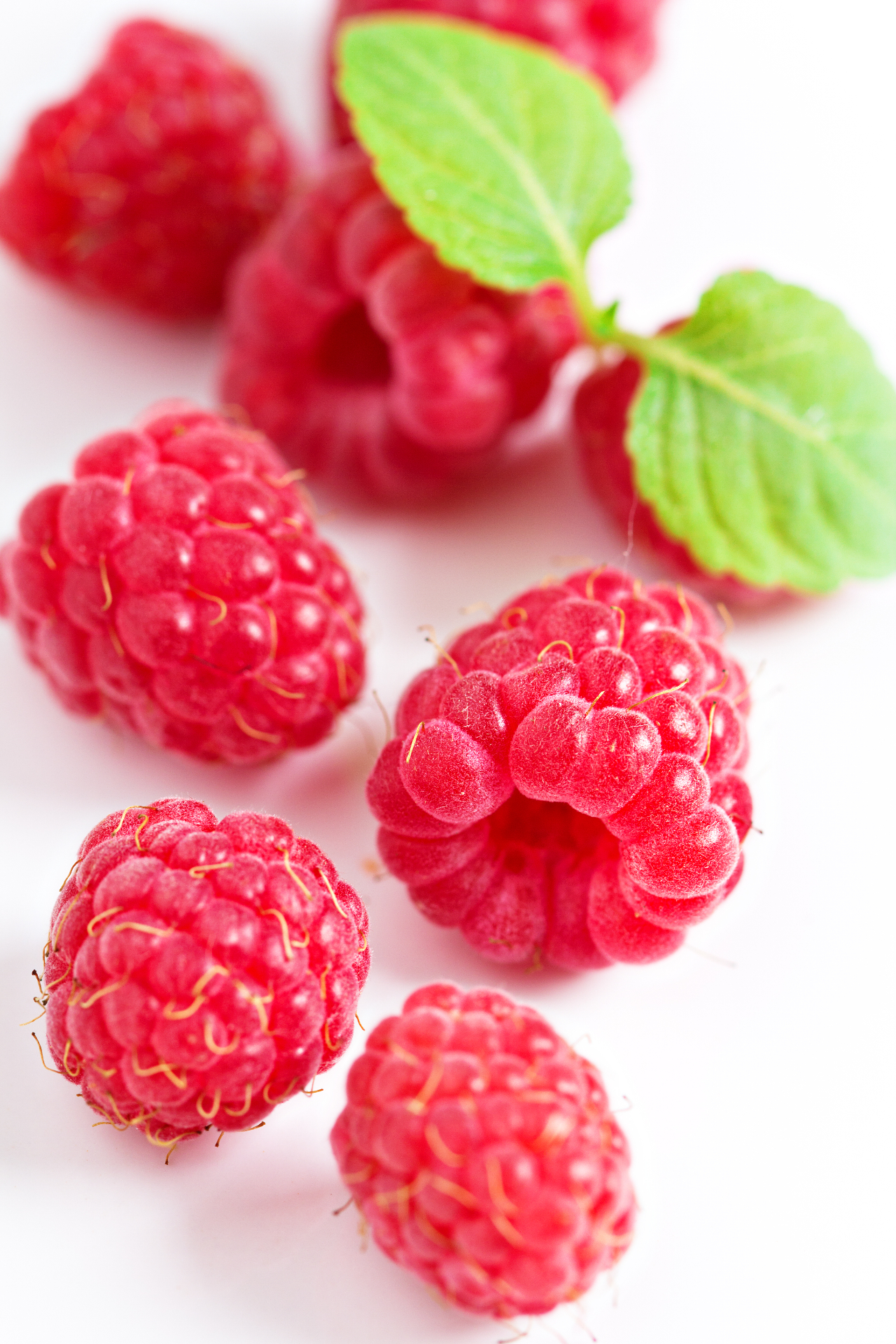 Velvety raspberries with soft red-pink colour and aromatic taste